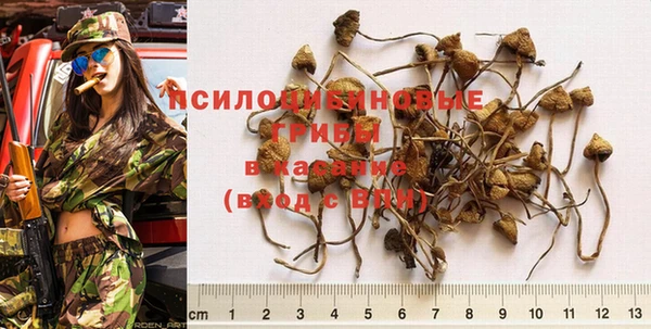 прущие крисы Алзамай