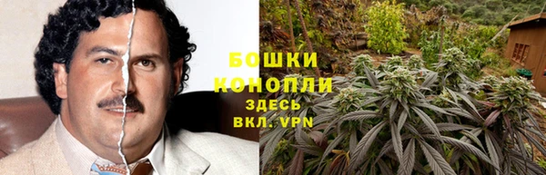 трава Армянск